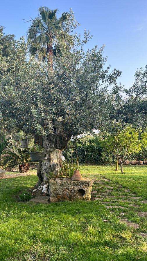 La Finestra Sul Limone Bed and Breakfast Castelvetrano Buitenkant foto