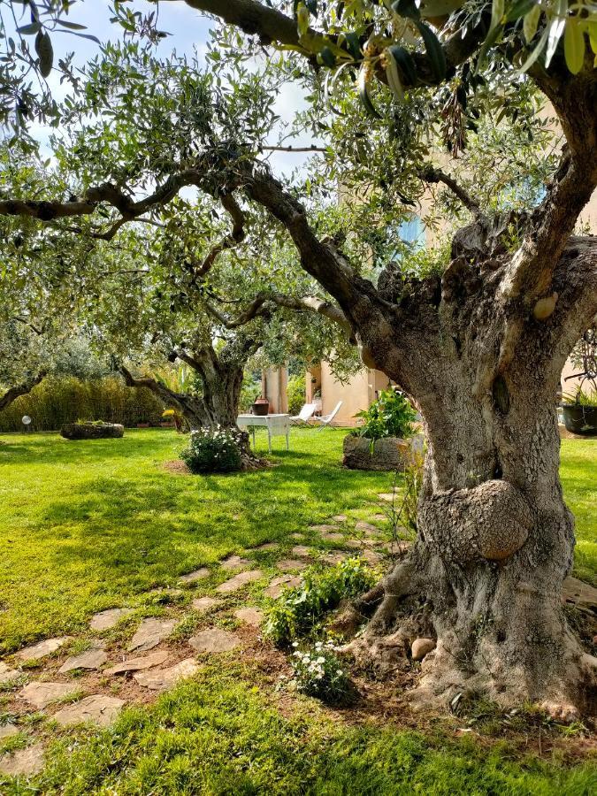 La Finestra Sul Limone Bed and Breakfast Castelvetrano Buitenkant foto