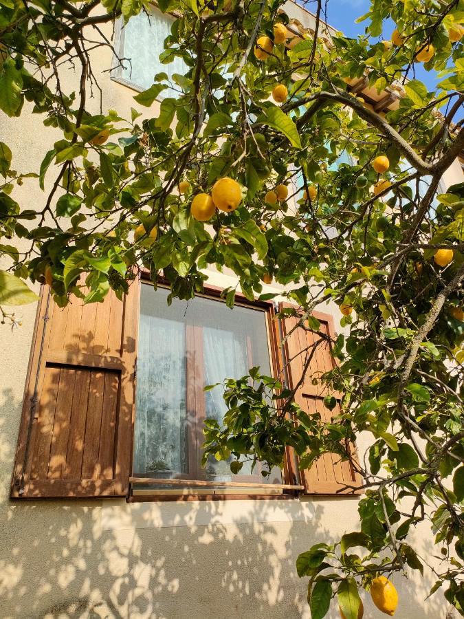 La Finestra Sul Limone Bed and Breakfast Castelvetrano Buitenkant foto