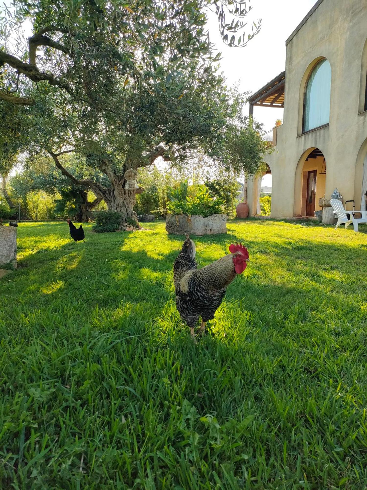 La Finestra Sul Limone Bed and Breakfast Castelvetrano Buitenkant foto